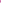 Gossip - Adore - Magenta - US Stores