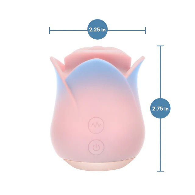 Blush Collection - Kissing Rose - Pink - US Stores