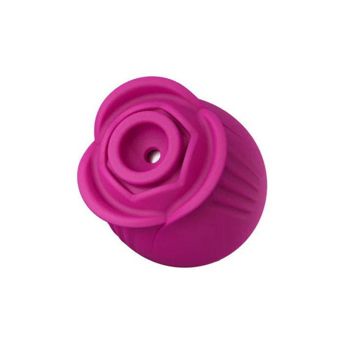 Blush Collection the Original Blush Rose - Velvet - US Stores