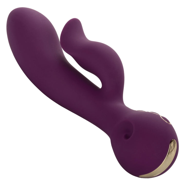 Obsession - Fantasy - Purple - US Stores