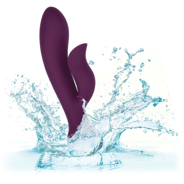 Obsession - Fantasy - Purple - US Stores