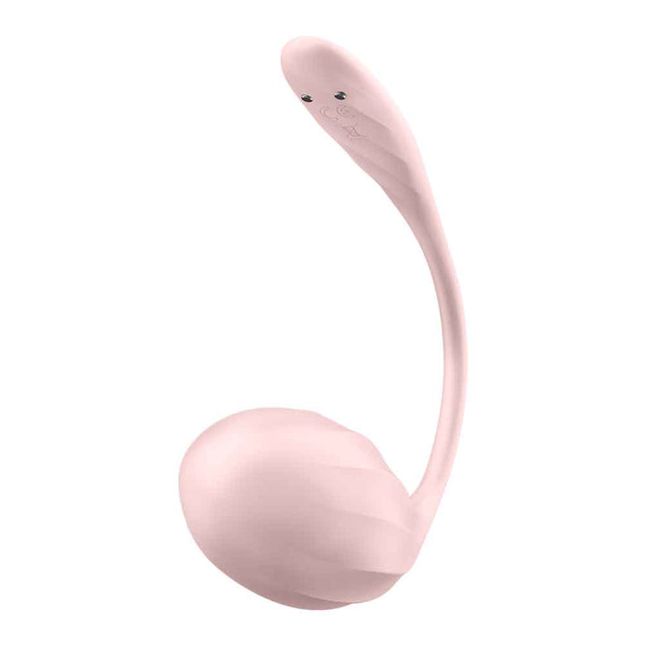 Ribbed Petal Connect App - Rose - US Stores