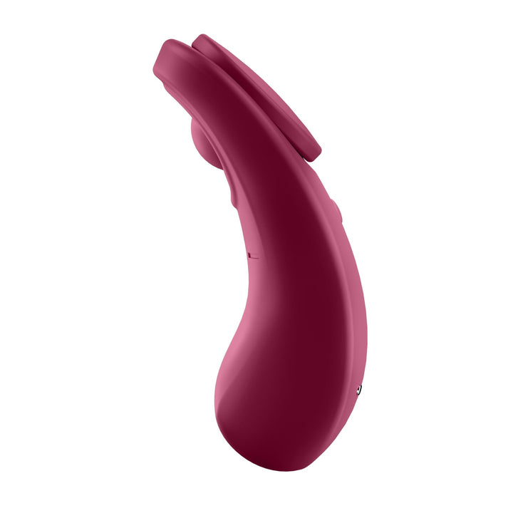 Sexy Secret - Panty Vibrator - US Stores