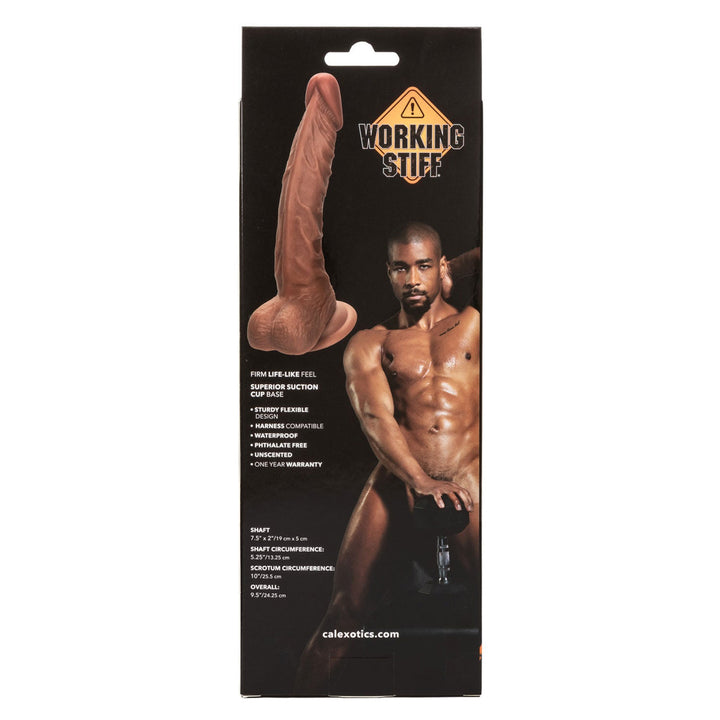 Working Stiff the Personal Trainer 7.5" - Brown - US Stores